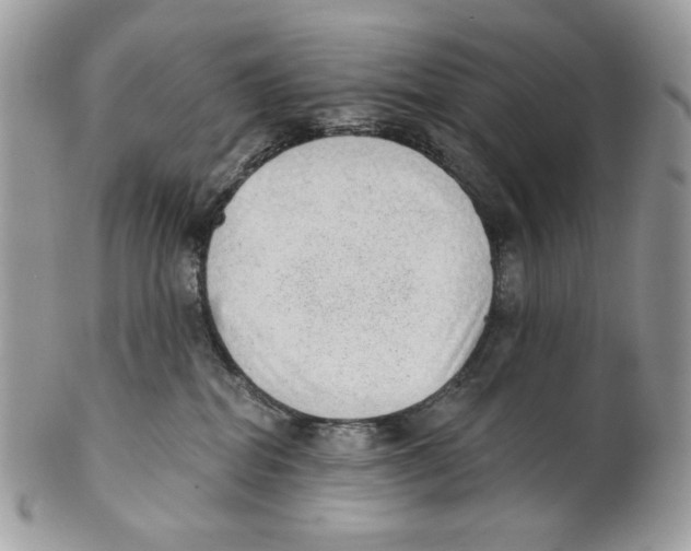 X0000101150282200807251055