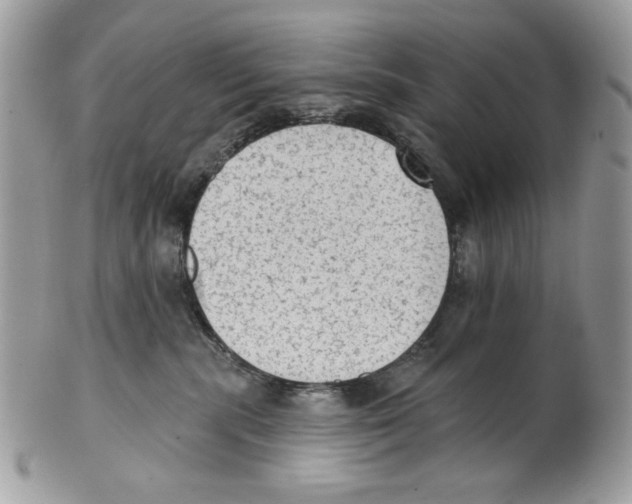 X0000101150283200807251055