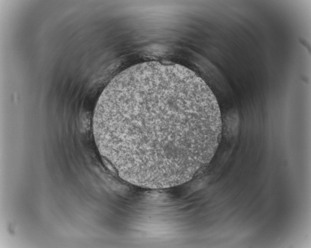 X0000101150284200807251055