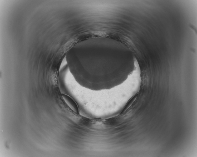 X0000101150285200807251055