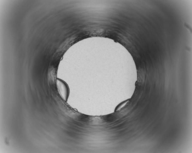 X0000101150287200807251055