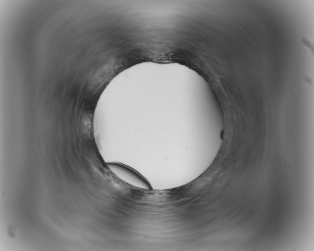 X0000101150288200807251055