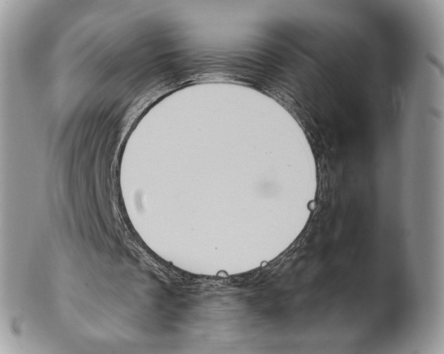X0000101150289200807251054
