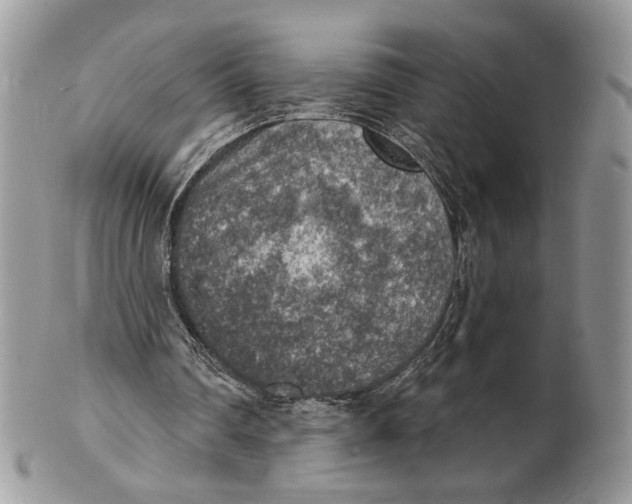 X0000101150290200807251054