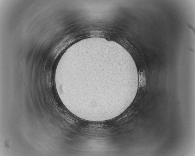 X0000101150291200807251054