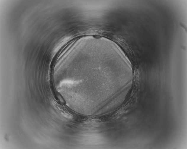 X0000101150292200807251054