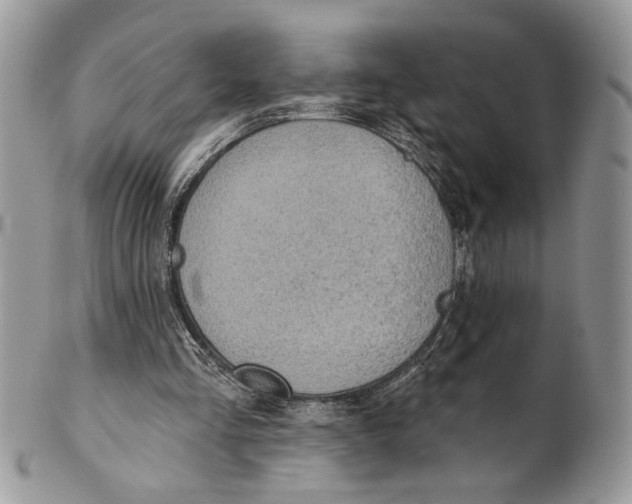 X0000101150293200807251054