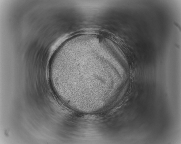 X0000101150294200807251054