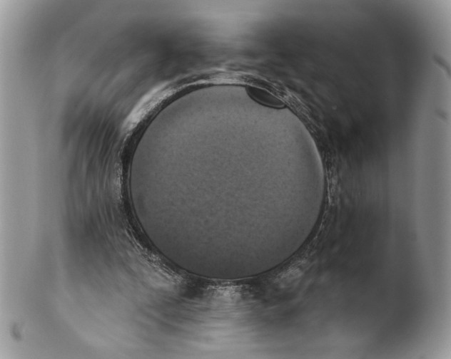 X0000101150295200807251054