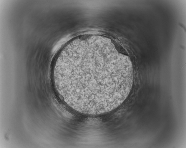 X0000101150296200807251054