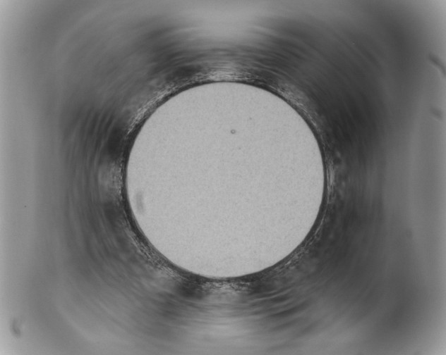 X0000101150297200807251054