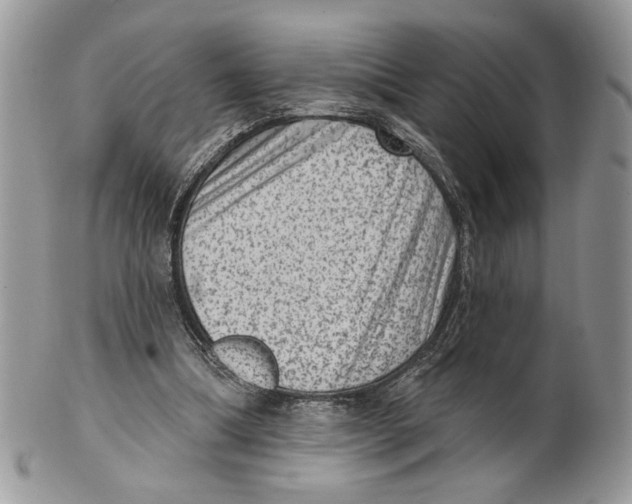 X0000101150298200807251054