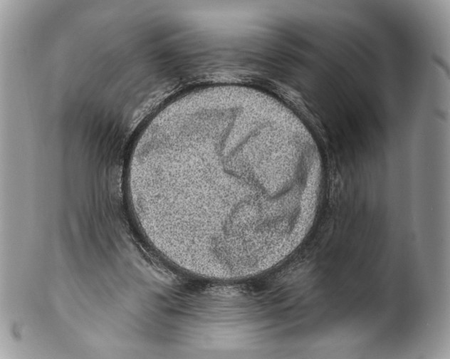 X0000101150299200807251054