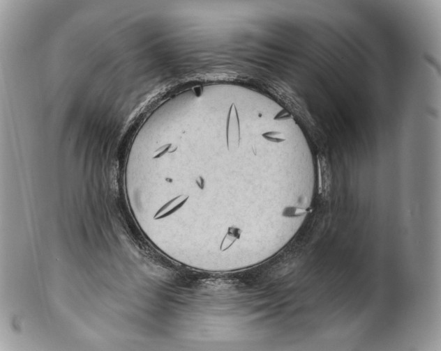 X0000101150300200807251054