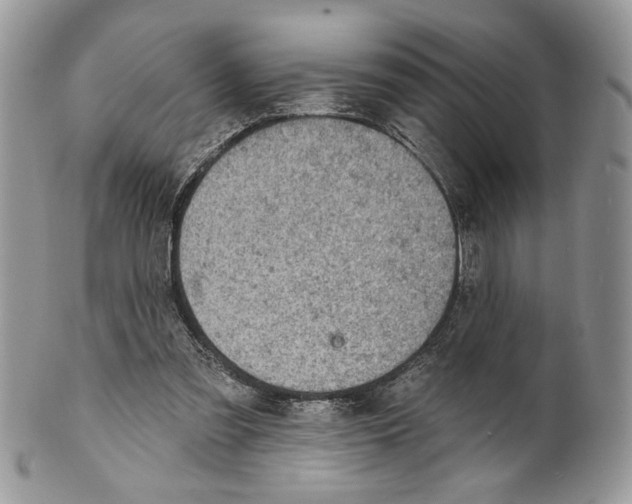 X0000101150301200807251054