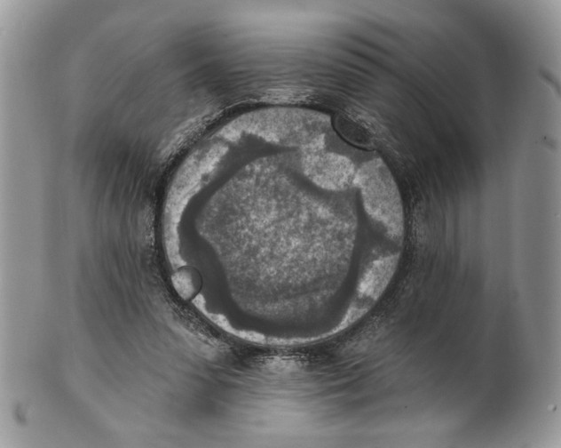 X0000101150303200807251054