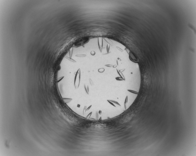 X0000101150304200807251054