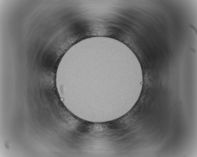 X0000101150305200807251054