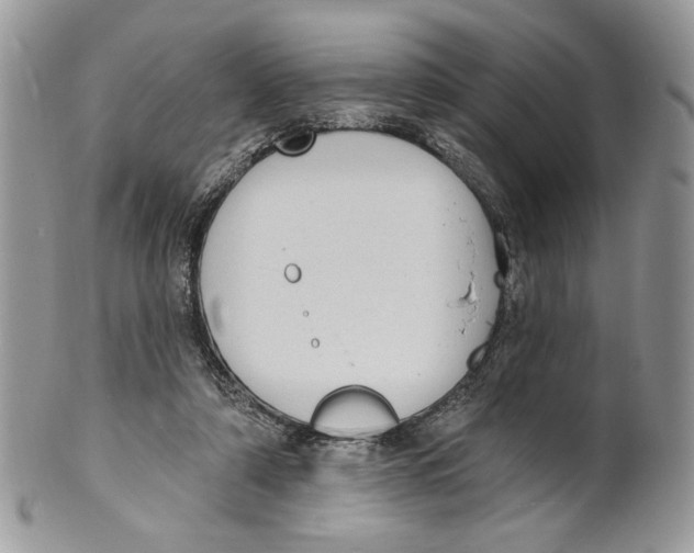 X0000101150306200807251054