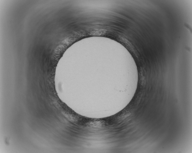 X0000101150307200807251054