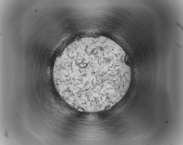 X0000101150308200807251054