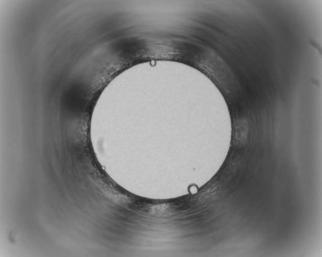 X0000101150309200807251054