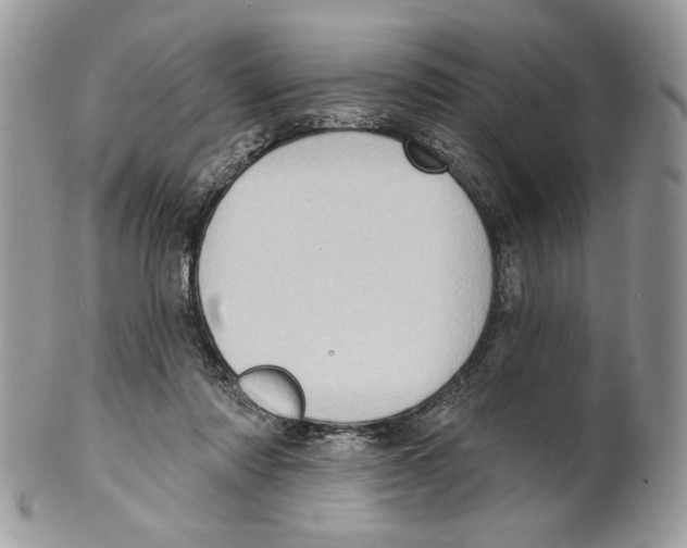 X0000101150310200807251054
