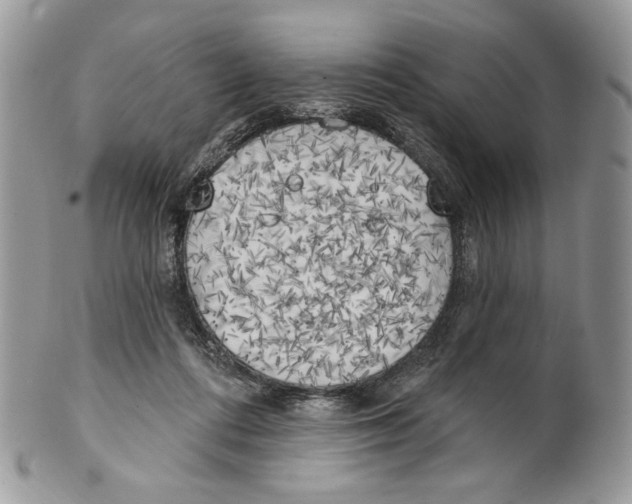X0000101150312200807251054