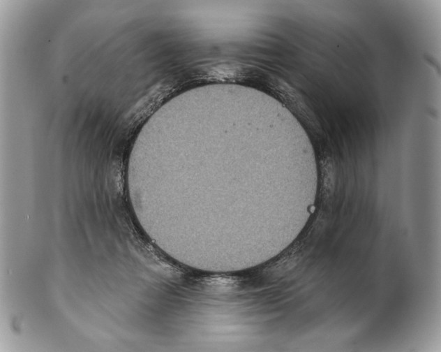 X0000101150313200807251054