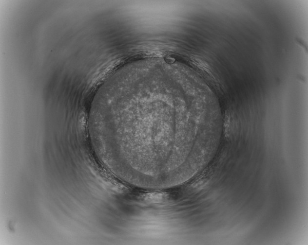 X0000101150314200807251054