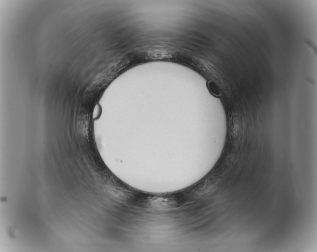 X0000101150315200807251054