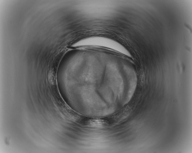 X0000101150316200807251054