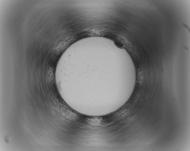 X0000101150318200807251054