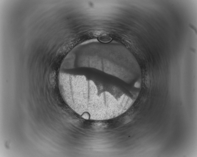 X0000101150319200807251054