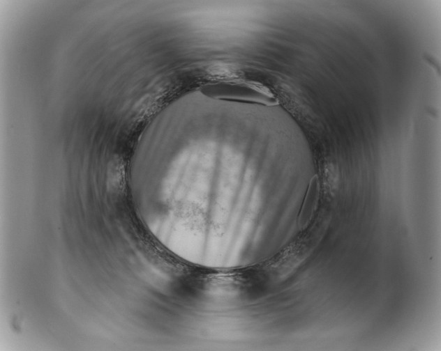 X0000101150320200807251054