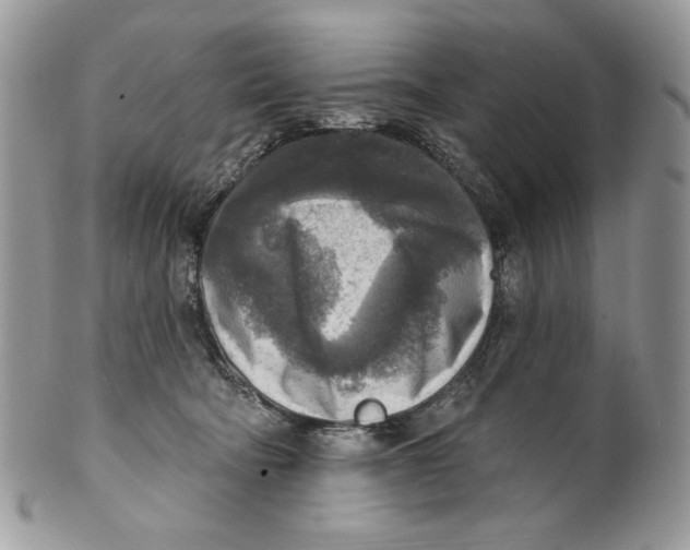 X0000101150322200807251054