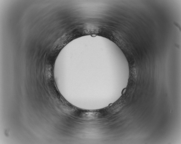 X0000101150323200807251054