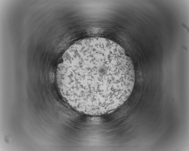 X0000101150324200807251053