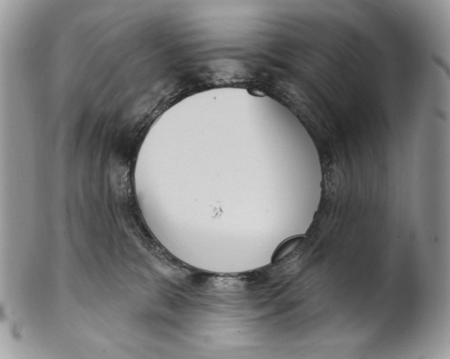 X0000101150327200807251053
