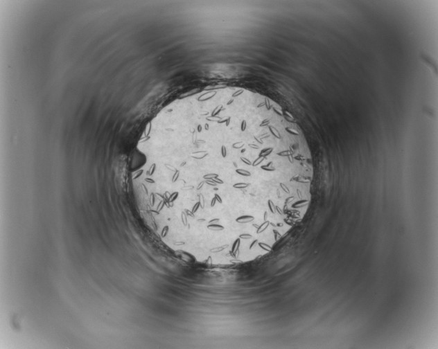 X0000101150328200807251053