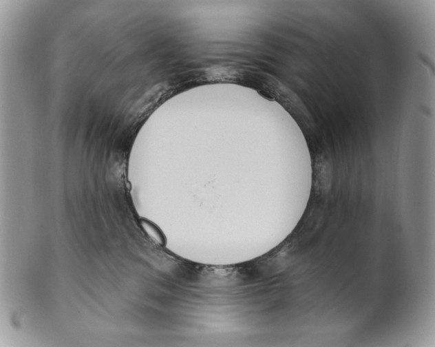 X0000101150329200807251053