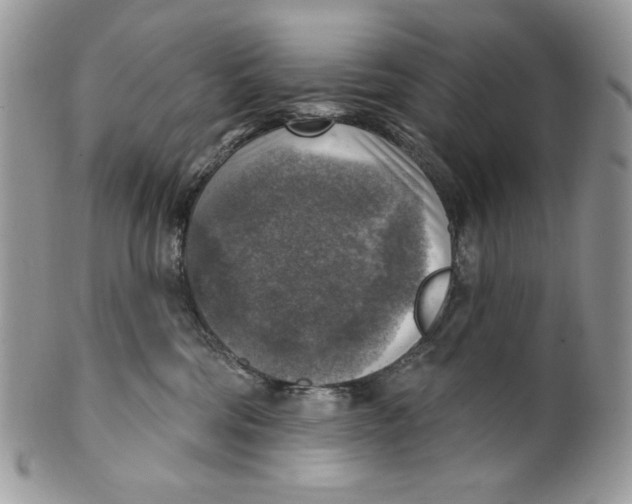 X0000101150330200807251053