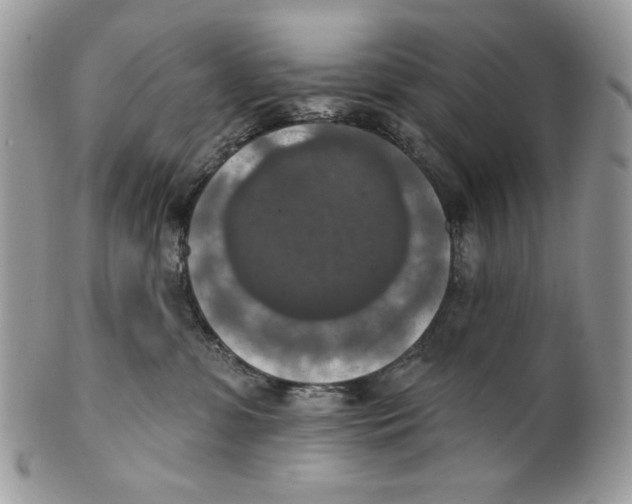 X0000101150331200807251053