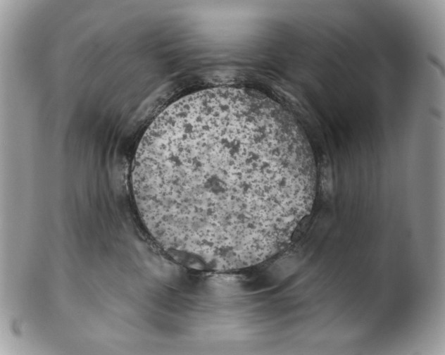 X0000101150332200807251053