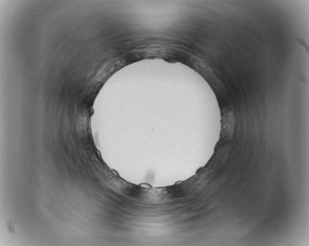 X0000101150333200807251053