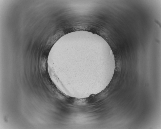 X0000101150334200807251053