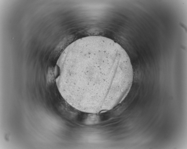 X0000101150335200807251053