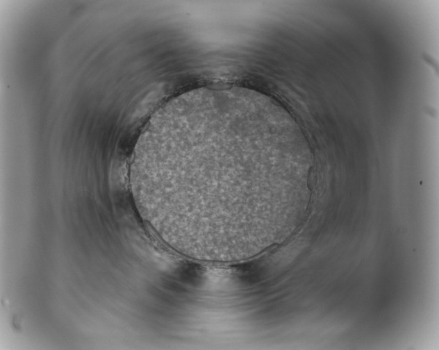 X0000101150336200807251053