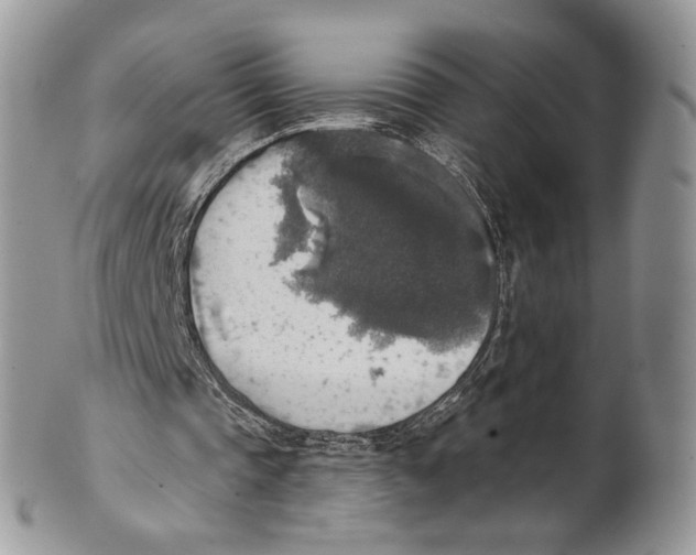 X0000101150337200807251053