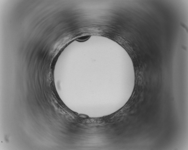 X0000101150338200807251053